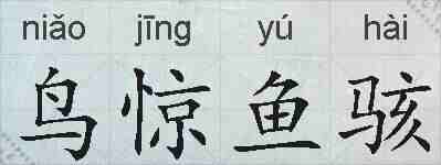 鸟惊鱼骇的拼音