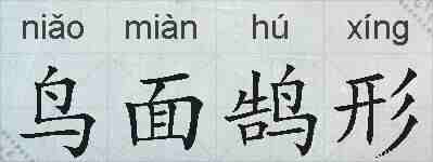 鸟面鹄形的拼音