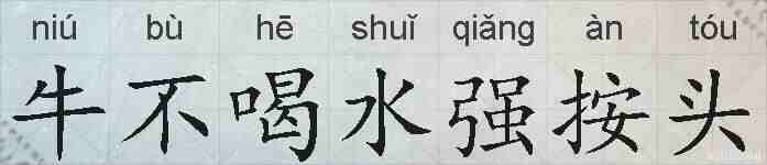 牛不喝水强按头的拼音