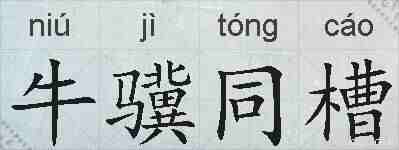 牛骥同槽的拼音