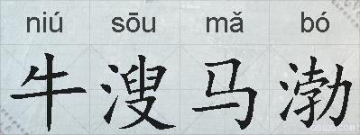 牛溲马渤的拼音