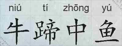 牛蹄中鱼的拼音