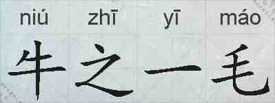 牛之一毛的拼音