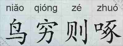 鸟穷则啄的拼音
