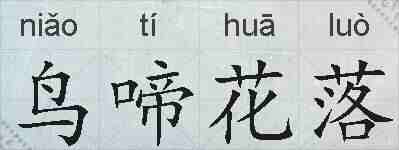 鸟啼花落的拼音