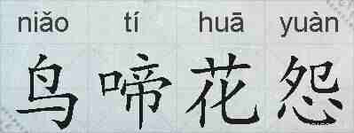 鸟啼花怨的拼音