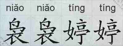 袅袅婷婷的拼音