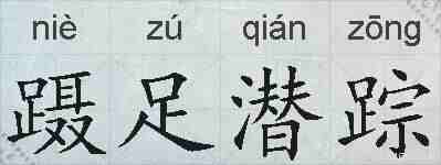 蹑足潜踪的拼音