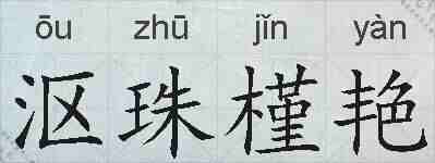 沤珠槿艳的拼音