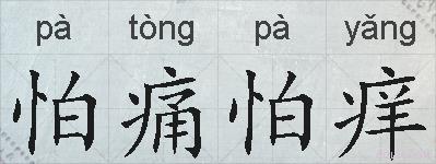 怕痛怕痒的拼音