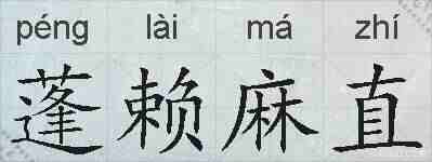 蓬赖麻直的拼音