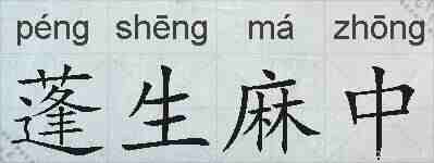 蓬生麻中的拼音