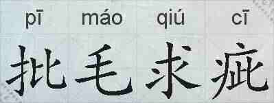 批毛求疵的拼音