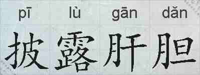披露肝胆的拼音