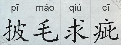 披毛求疵的拼音