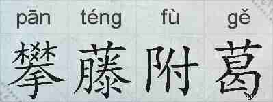 攀藤附葛的拼音