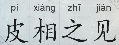 皮相之见的拼音