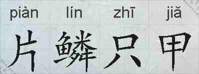 片鳞只甲的拼音