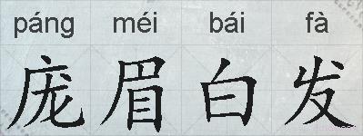 庞眉白发的拼音