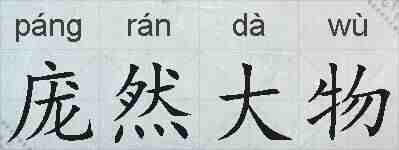 庞然大物的拼音