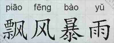 飘风暴雨的拼音
