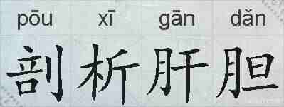 剖析肝胆的拼音