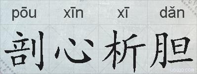 剖心析胆的拼音