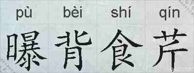 曝背食芹的拼音