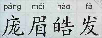 庞眉皓发的拼音