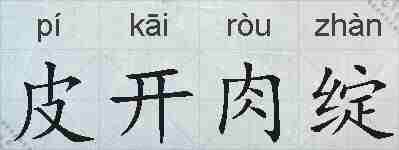 皮开肉绽的拼音