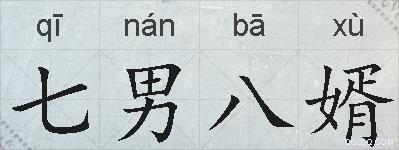 七男八婿的拼音