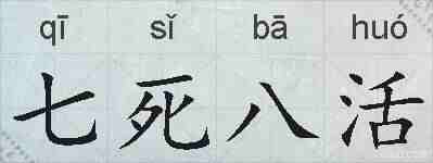 七死八活的拼音