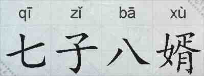 七子八婿的拼音