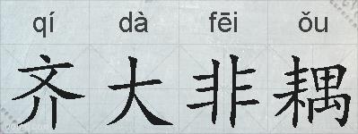 齐大非耦的拼音
