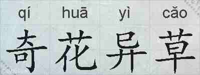 奇花异草的拼音