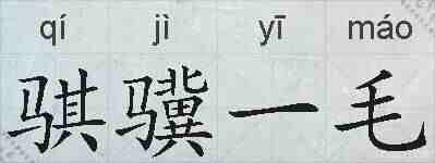 骐骥一毛的拼音