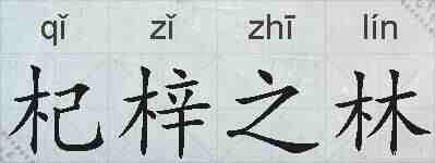 杞梓之林的拼音