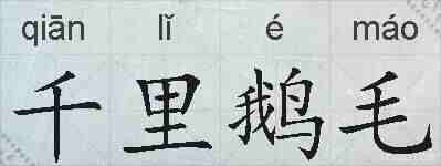 千里鹅毛的拼音