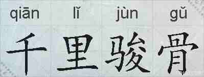 千里骏骨的拼音