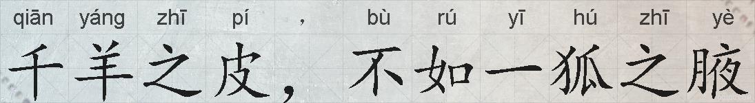 千羊之皮，不如一狐之腋的拼音