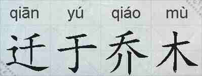 迁于乔木的拼音