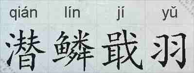 潜鳞戢羽的拼音