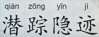 潜踪隐迹的拼音