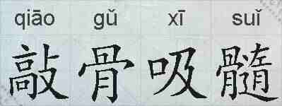敲骨吸髓的拼音