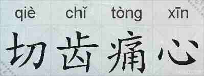 切齿痛心的拼音