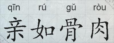亲如骨肉的拼音
