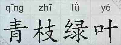青枝绿叶的拼音