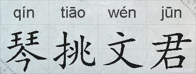 琴挑文君的拼音