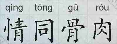 情同骨肉的拼音