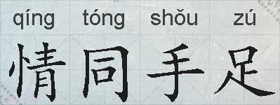 情同手足的拼音